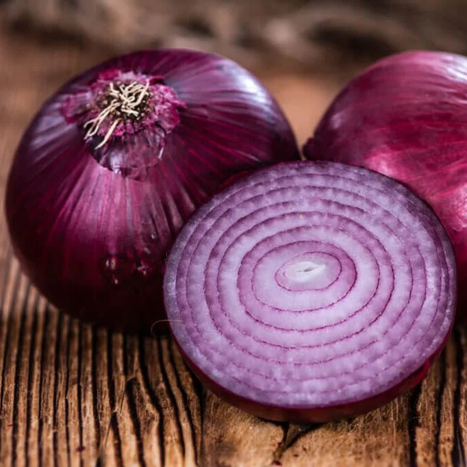 Red Creole Onion 150 - 10,000 Seeds Short day Resistant to Pint Root Rot long shelf life