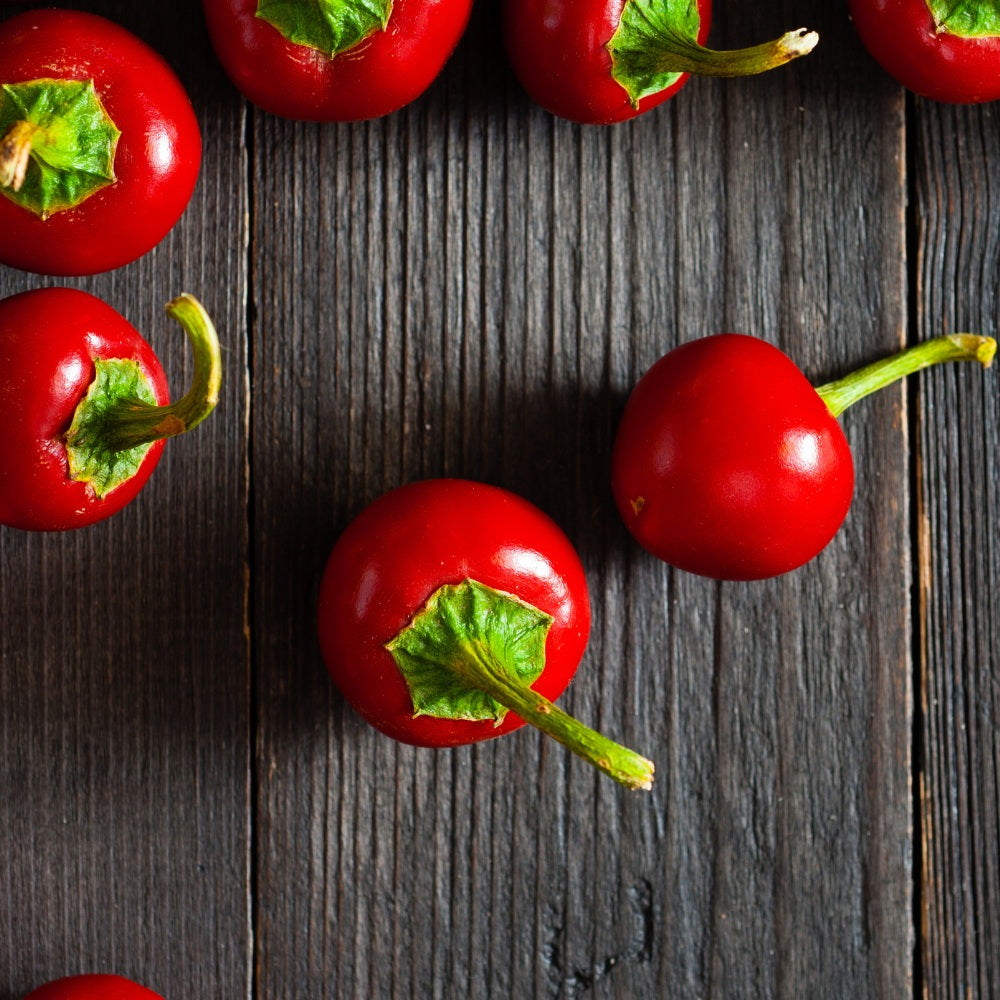 Large Red Cherry Hot Pepper 50 - 5000 Seeds sub standard Germination <60%