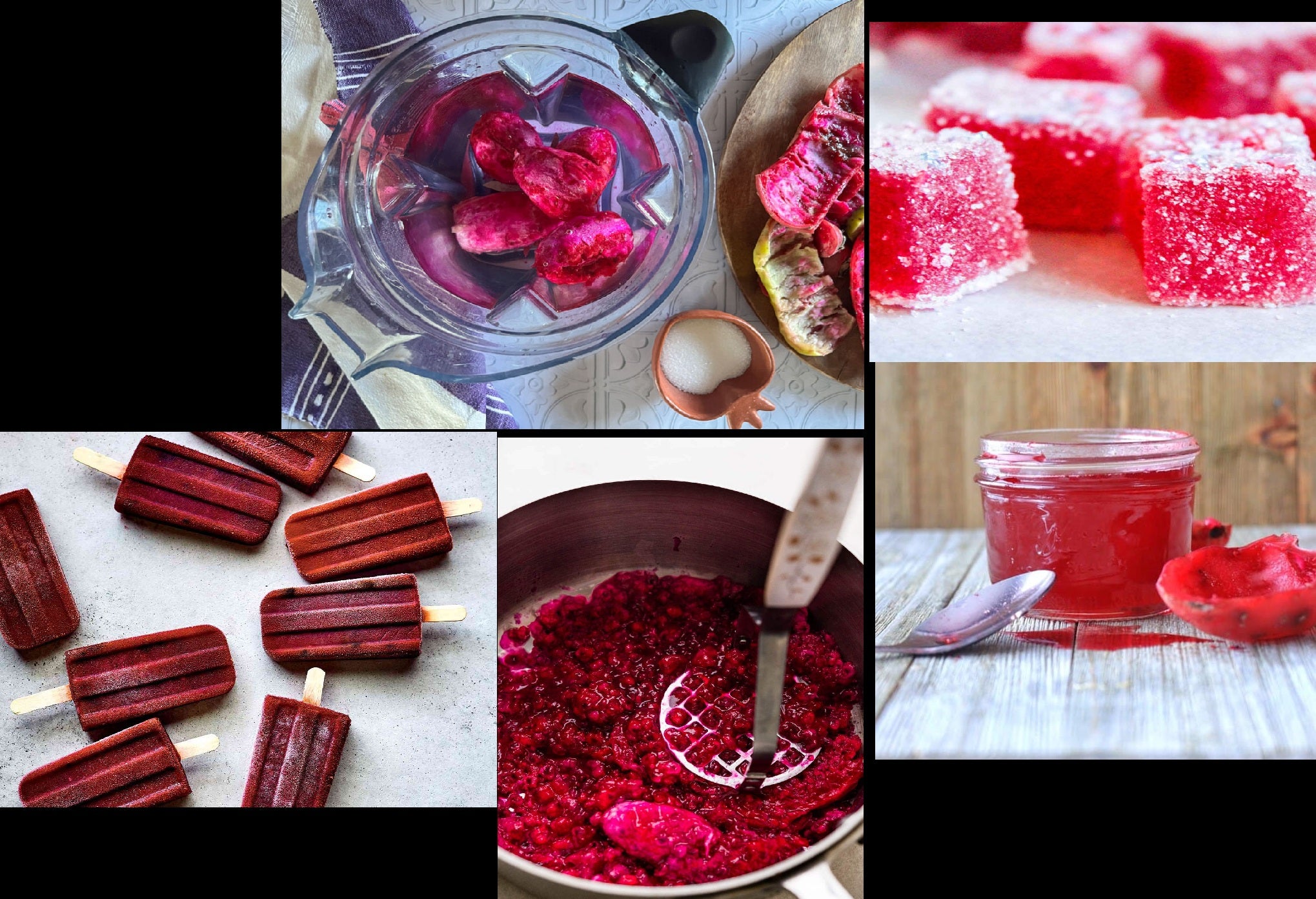 Prickly pear 10 - 100 - 1000 Seeds Engelmann's Cactus Apple Opuntia engelmannii Kern beavertail