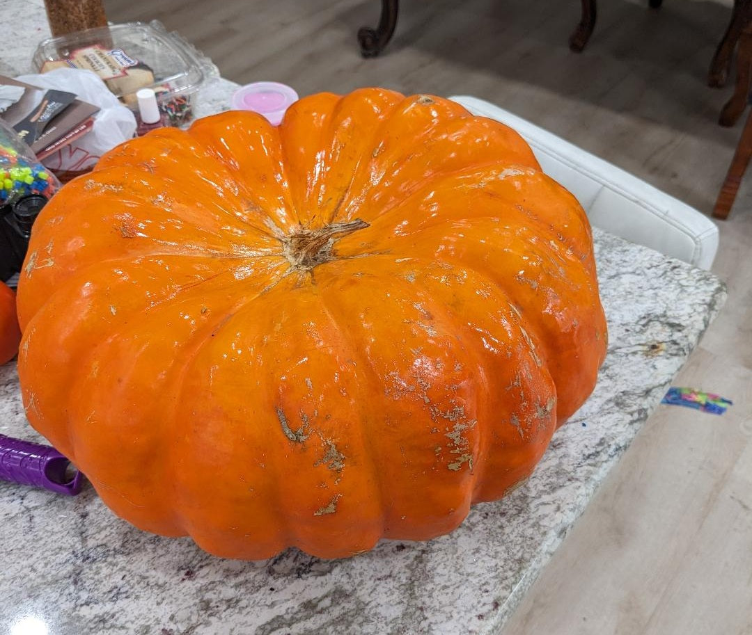 Pumpkin Cinderella 10 - 100 - 500 Seeds Rouge Vif D Estampes Pumpkin Pie