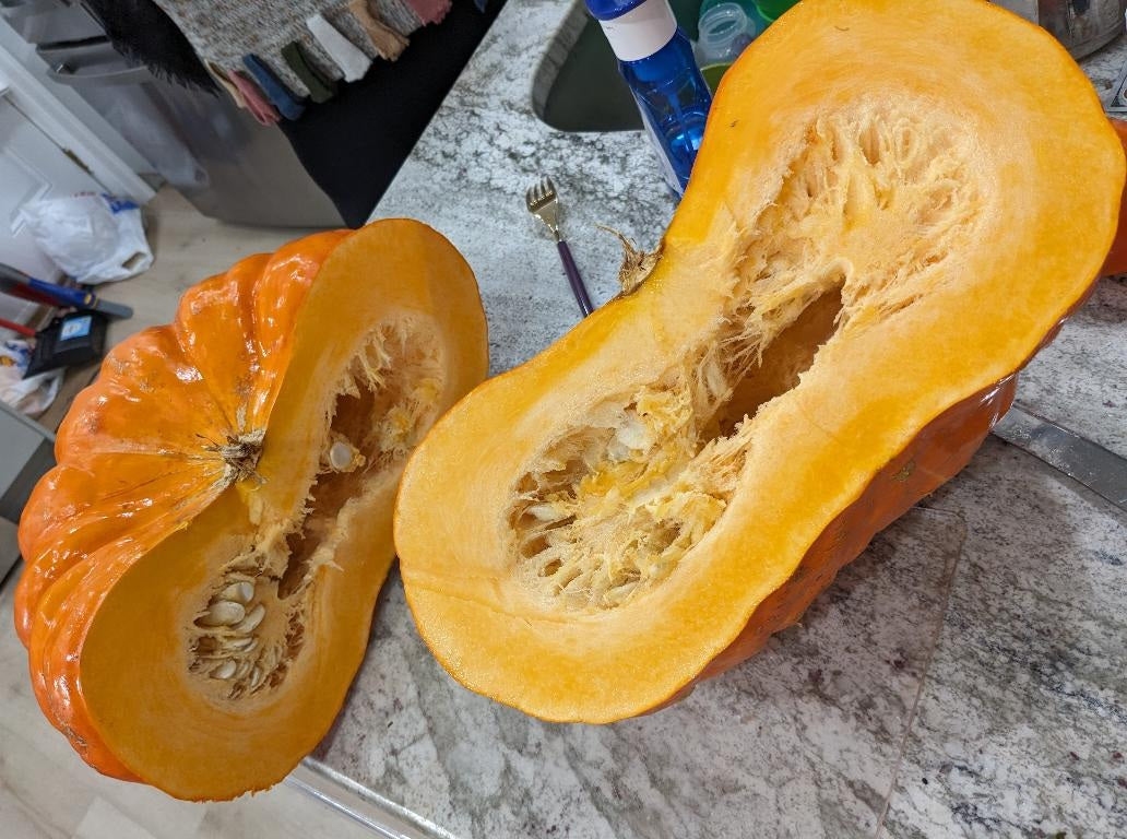 Pumpkin Cinderella 10 - 100 - 500 Seeds Rouge Vif D Estampes Pumpkin Pie