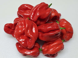 25 seeds Red Scotch Bonnet Jamaican red chili pepper smoky flavor Nuclear HOT