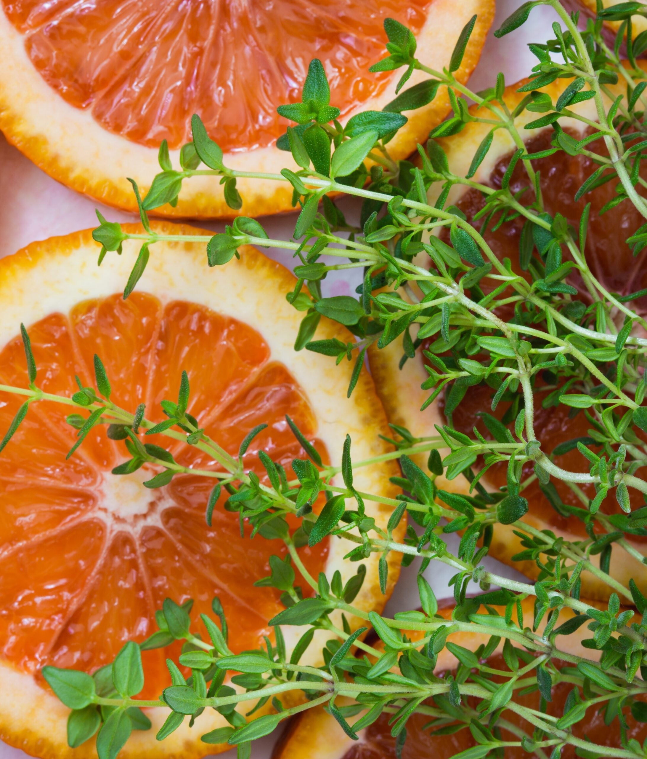Thyme Common (English) 200 - 28K Seeds Culinary Herbs Hardy & tolerant thrives in poor soil!