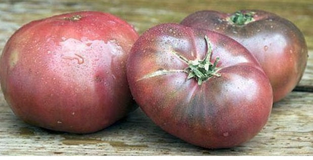 Tomato Seeds Variety list Rare Big Beefsteak Yellow Pink White Brandywine Cherry
