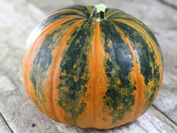 10 Organic seeds Lady Godiva Extremely RARE Hull-less Pumpkin Beautiful