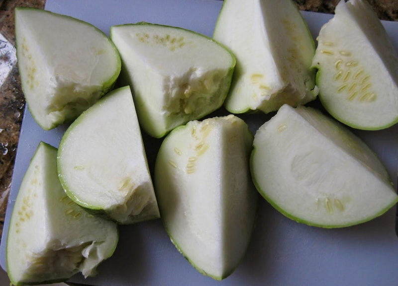10 Seeds Shark Fin Melon Chilacayote Fig Leaved Malabar Gourd Heirloom Very Rare