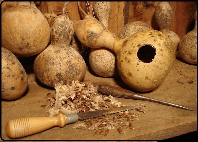 10 seeds Birdhouse Gourd Bottle Heirloom Fresh Beautiful Arts & Crafts Project