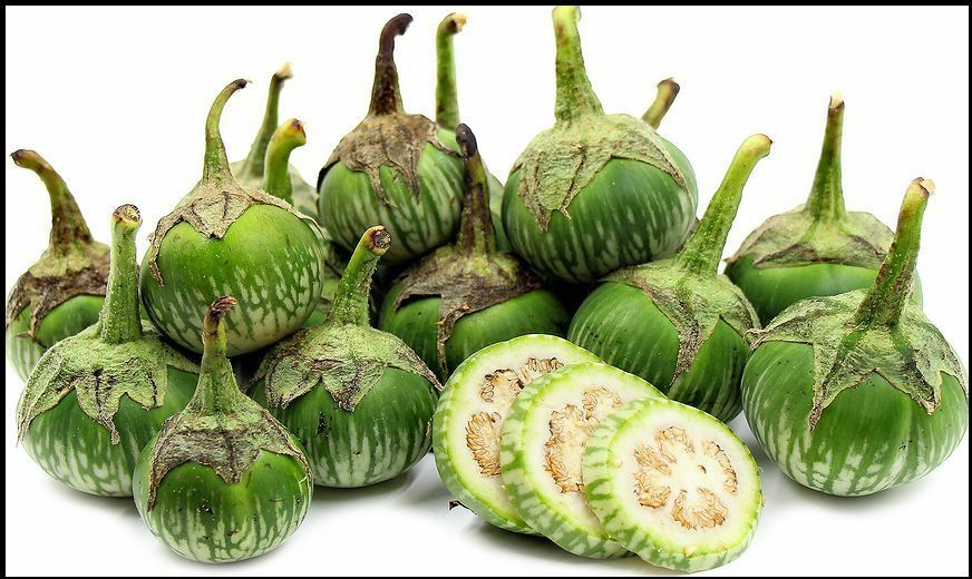 15 seeds Green Tiger Stripe Eggplant Lao Thai small Aubergine Brinjal