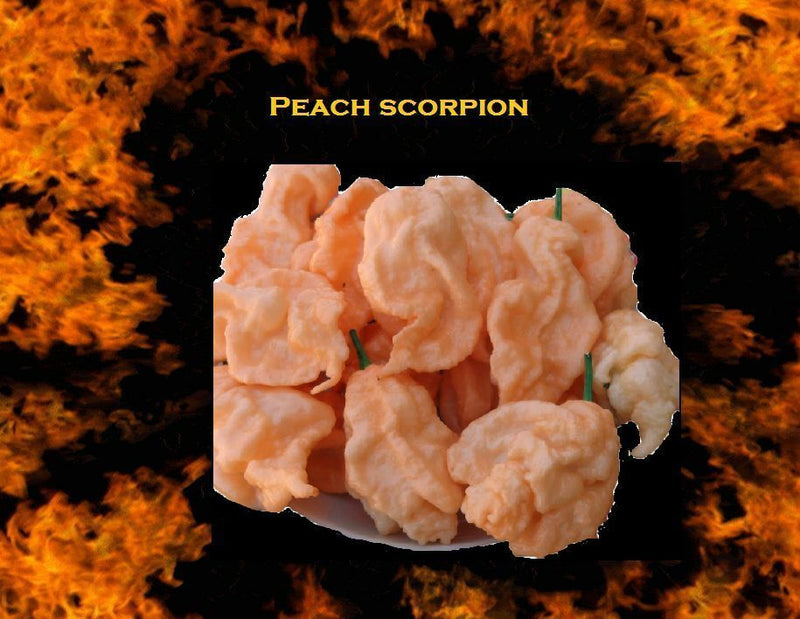 10 seeds Jays Peach Ghost Scorpion Bhut jolokia & Scorpion Hot pepper cross