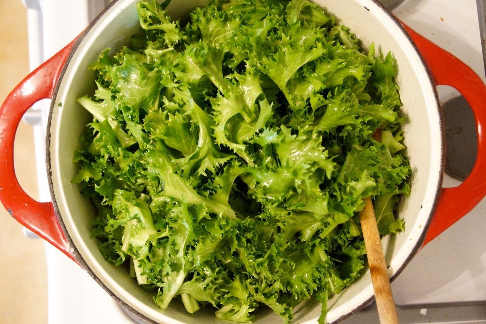 100 Seeds Green Curled Rufflec ENDIVE heirloom delicious tender vigorous leaves