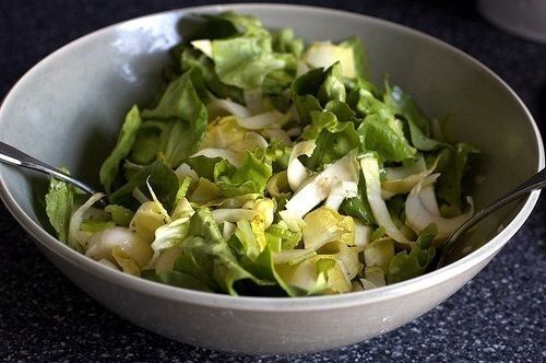 100 Seeds Green Curled Rufflec ENDIVE heirloom delicious tender vigorous leaves