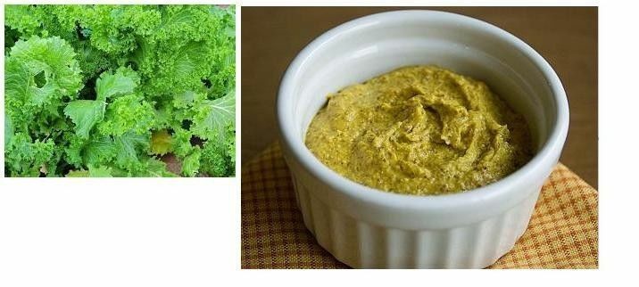 150+ seeds Each: Southern Giant Curled & Red Giant Mustard Heirloom Delicious
