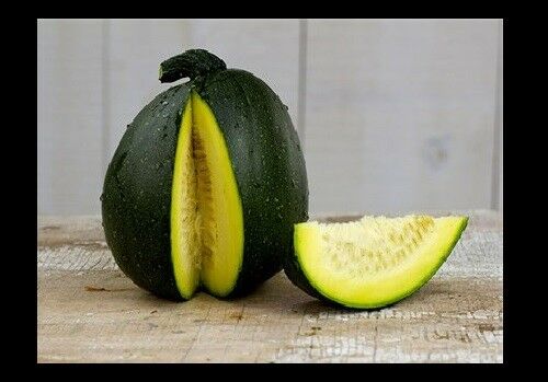 Tatume Summer Squash 20 Seeds Heirloom Calabash Mexican Zucchini