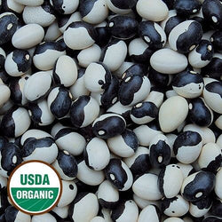20 seeds Calypso Bush Beans Certified Organic aka Orka beans Yin Yang Caribbean