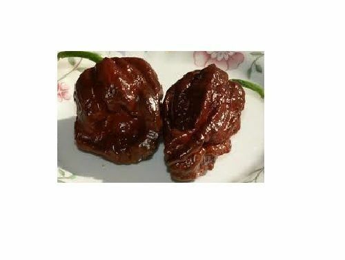20 seeds Chocolate/Brown Trinidad 7 pot/pod DOUGLAH EXTREME Hottest pepper! RARE