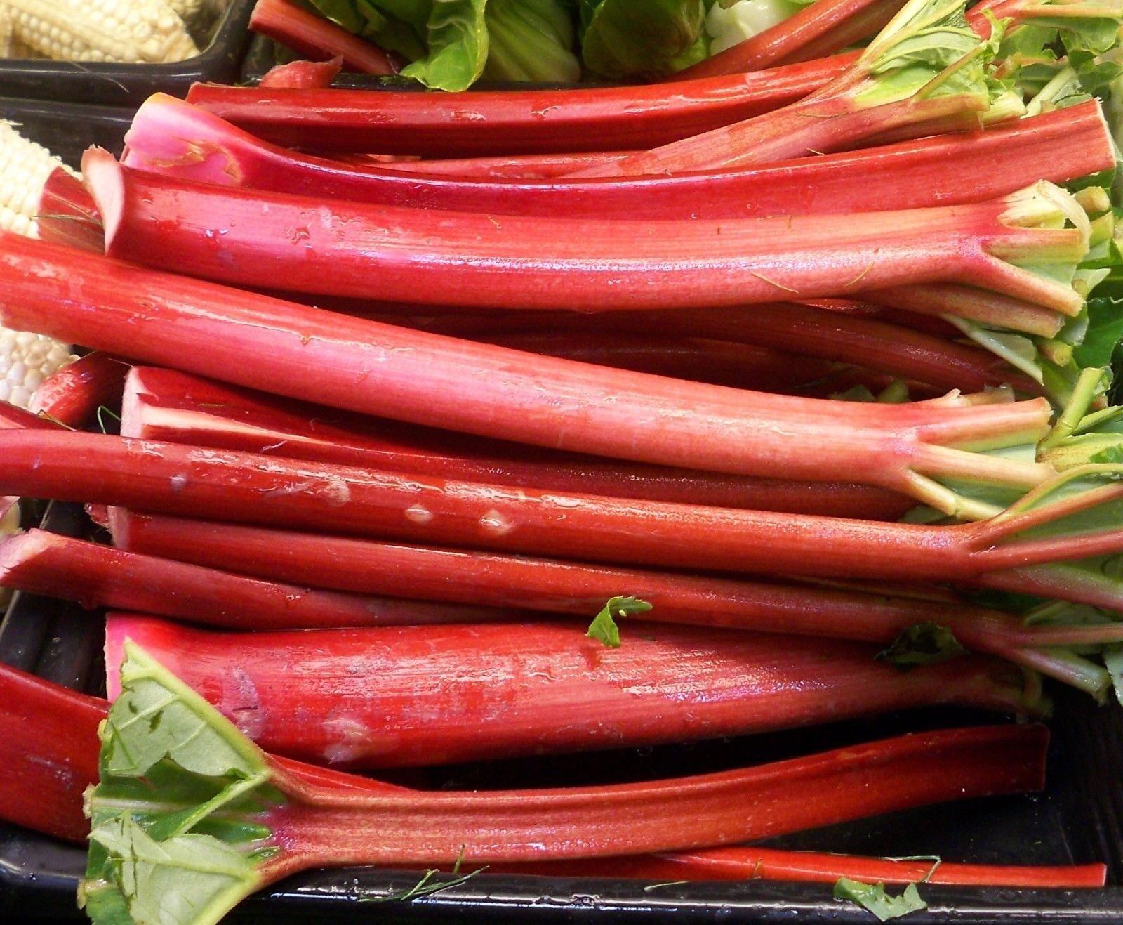 25 - 200 seeds Rhubarb VICTORIA Heirloom tastes great fresh or Pie Jam sauce