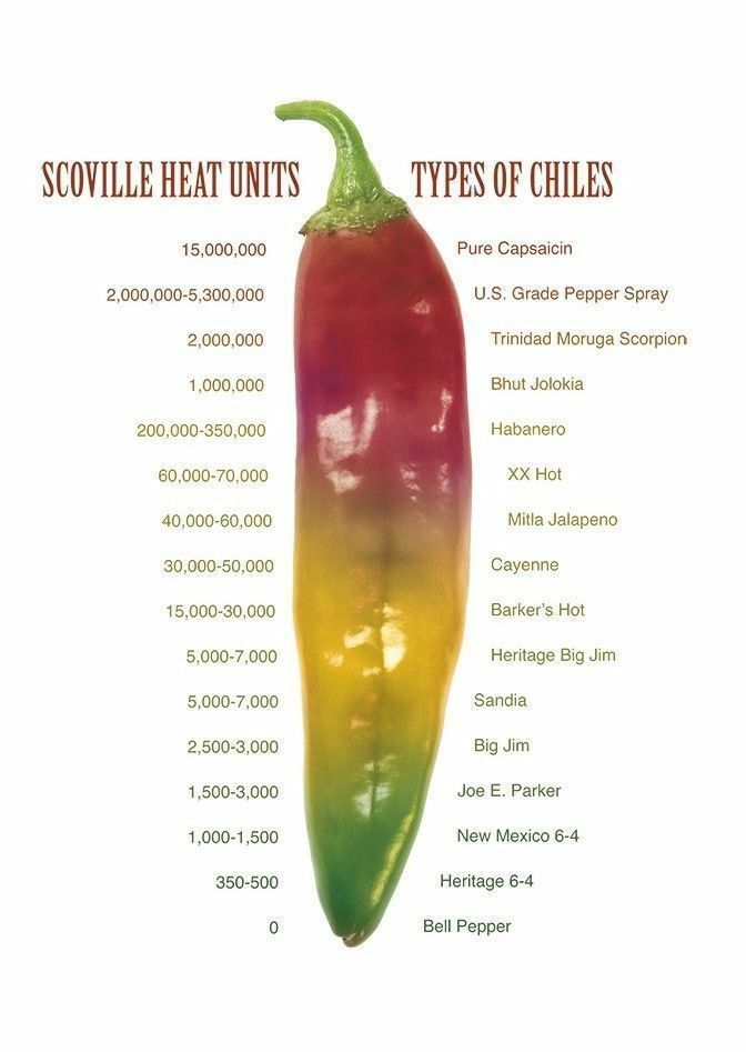 25 Red Bhut Jolokia Seeds Ghost Pepper Naga Jolokia HOT Chilli *900K-1.1M+ SHUS