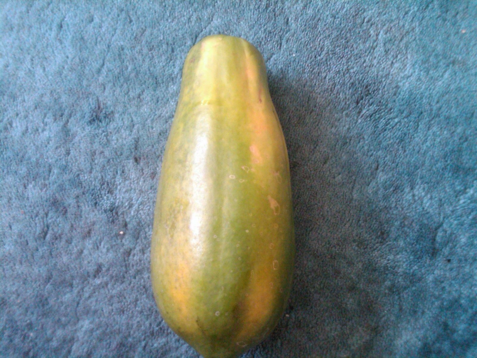 25 Seeds Meradol Maradol Caribbean Red Caribbean Sunrise Papaya Plant Big Fruit