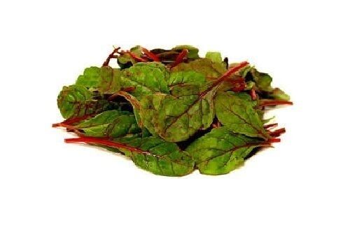 25 seeds Ruby Red Swiss Chard Heirloom silverbeet Combined Shipping Farmers Mkt