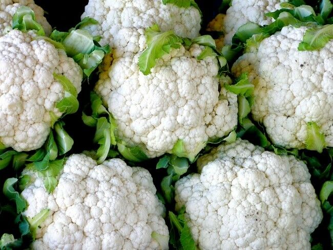 250 Seeds CAULIFLOWER Snowball Y Improved Heirloom Garden vegetable White
