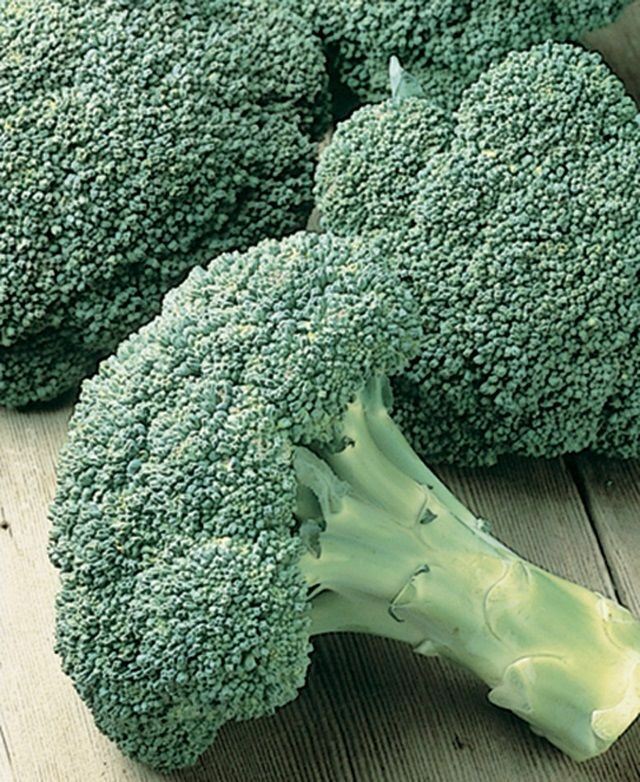 250 Seeds Waltham Broccoli 29 Fresh great for farmers markets Heirloom