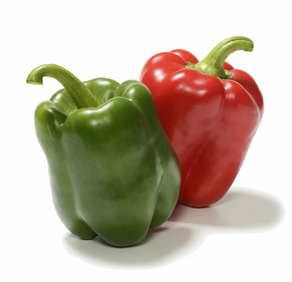 PRE ORDER 3 Live 3 - 5" inch Seedlings California Wonder Sweet Large Bell Pepper Red Green