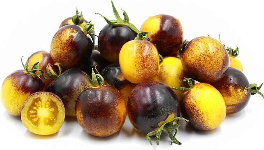 3 Live 3 - 6" inch Seedlings Blue Gold Berries Tomato Heirloom Super Rare Cherry