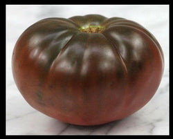 PRE ORDER 3 Live 5 - 8" inch Seedlings Brandywine Black Tomato Rare Beautiful Color