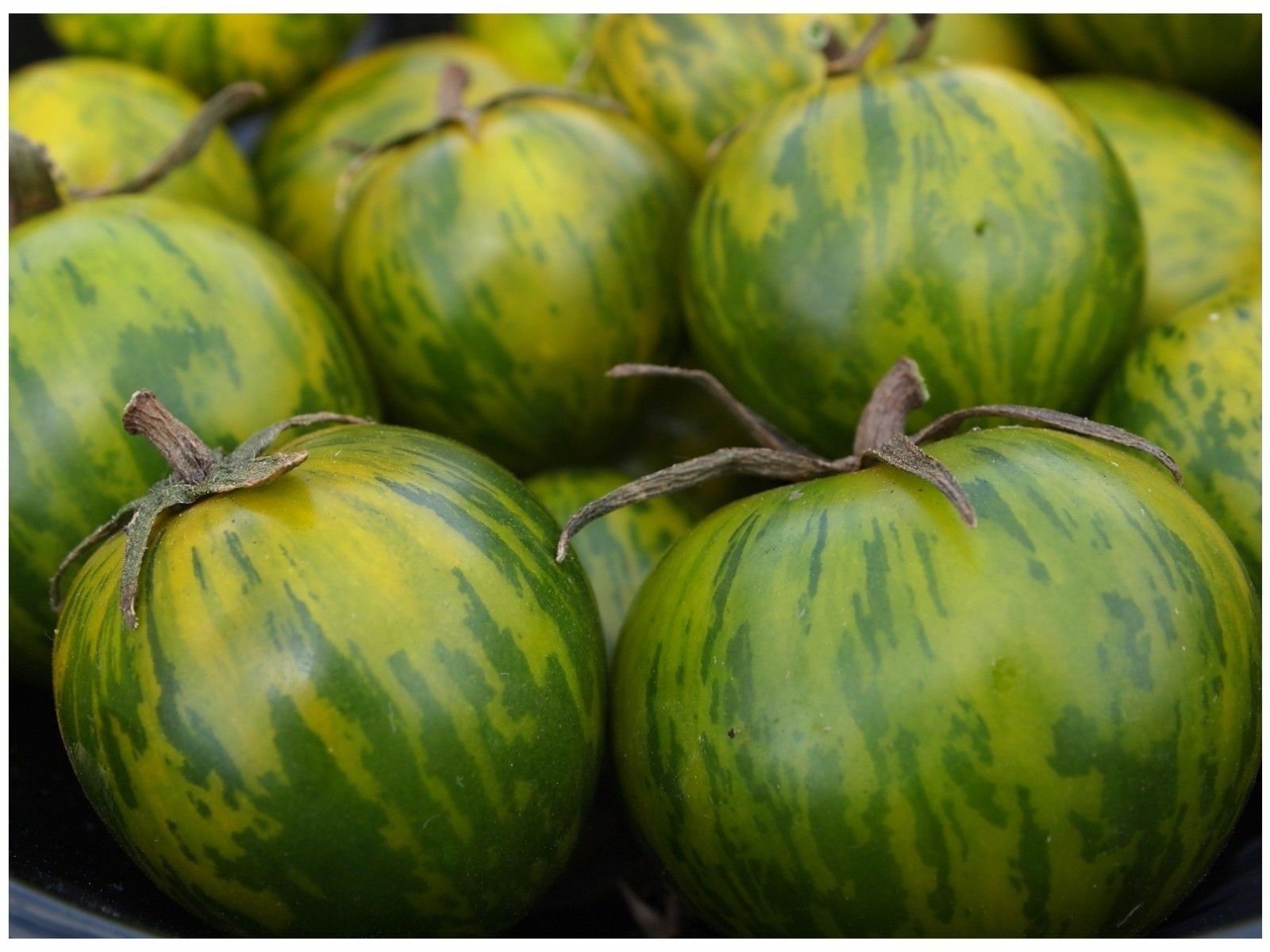 30 seeds GREEN ZEBRA Tomato Heirloom Delicious Unique color Fresh Beautiful