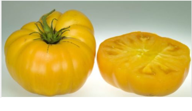 Brandywine YELLOW Tomato 30 - 5000 Seeds Rare Heirloom Beefsteak Bulk Rare oz