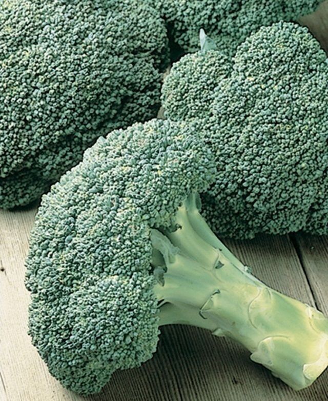 CALABRESE Broccoli 500 - 4000 SEEDS Green sprouting Heirloom Delicious Non-GMO Brassica