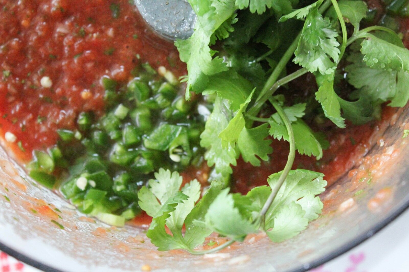 CILANTRO Coriander Seeds Microgreens Leisure Chinese Parsley Bulk Herbs Healthy