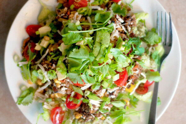 CILANTRO Coriander Seeds Microgreens Leisure Chinese Parsley Bulk Herbs Healthy