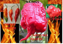 COMBO Bhut Jolokia Ghost pepper Carolina Reaper Trinidad Moruga Scorpion HOT!!!! GUINNESS WORLD RECORD