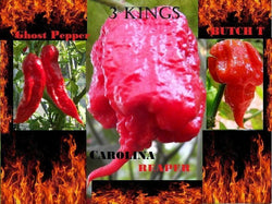 COMBO PACK Ghost pepper Carolina Reaper Trinidad Scorpion Butch T chili seeds