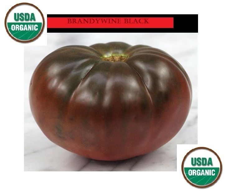 Combo Brandywine YELLOW RED BLACK PINK Tomato 30 SEEDS Rare Beefsteak Slicing