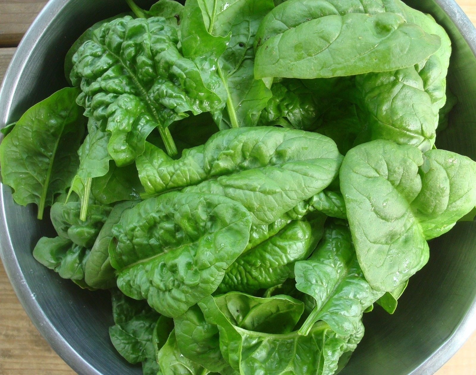 Combo RHUBARB Victoria, SWISS CHARD Ruby Red, SPINACH Bloomsdale 25-30 seeds Pie