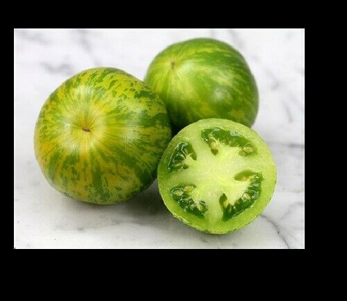 GREEN ZEBRA Tomato 25 - 1000 Seeds Heirloom Unique Beautiful Color Salad Bulk