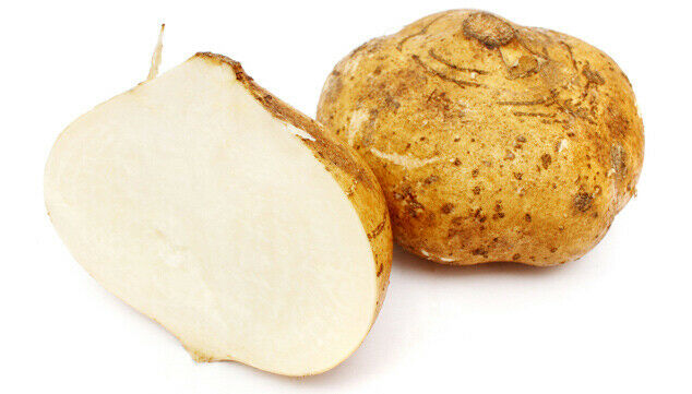 Jicama Mexican Yam Bean 5 - 1000 Seeds Pachyrhizus Erosus Sweet & Crunchy Bulk