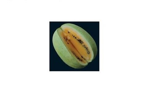 Missouri Heirloom Yellow Flesh 7 Seeds Extremely Rare Watermelon Limited Amount