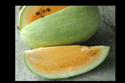 Missouri Heirloom Yellow Flesh 7 Seeds Extremely Rare Watermelon Limited Amount