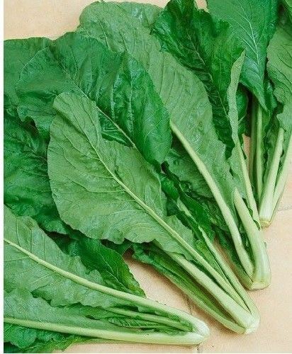 Mustard TENDERGREEN 100 - 300 - 1000 SEEDS Komatsuna Fresh Heirloom Green Bulk