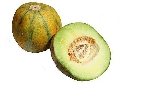Ogen Melon 20 Seeds (Israel) Ha'Ogen Garden Heirloom Rare Non GMO Delicious