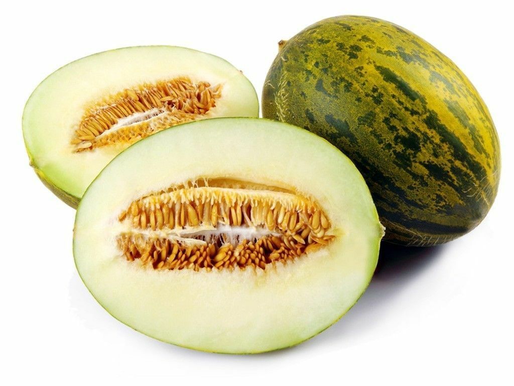 PIEL DE SAPO MELON SEED Santa claus Toadskin melon EXTREMELY SWEET RARE HEIRLOOM
