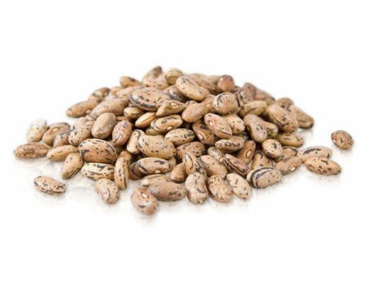 Rattlesnake snap pole Beans 10 seeds bulk fresh preacher Drought resistant Snap
