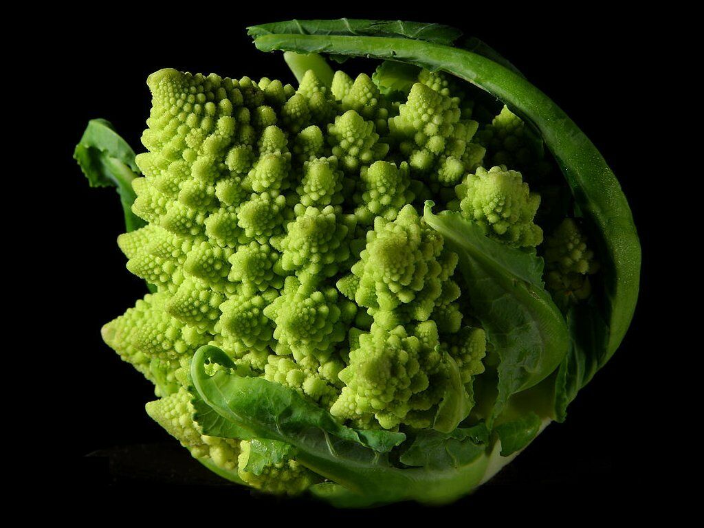 Romanesco Italia Broccoli 100, 500, 1000 Seeds Fractal Natalino Brocoflower RARE Heirloom