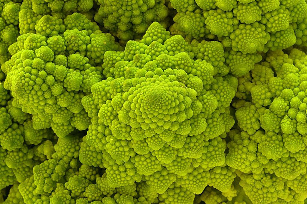 Romanesco Italia Broccoli 100, 500, 1000 Seeds Fractal Natalino Brocoflower RARE Heirloom
