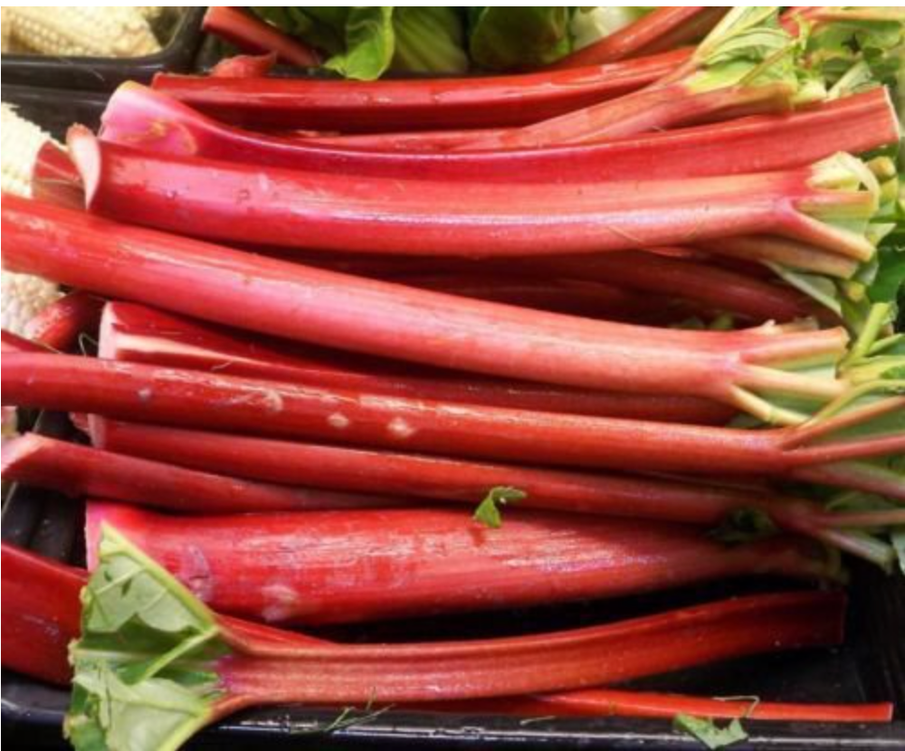 3 Live 4 - 7" inch Seedlings Rhubarb Victoria Great Fresh or Jam Pie Sauce!