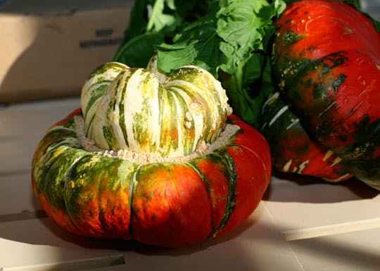 Turk's Turban Winter Squash 10 Seeds Turks Cap Heirloom Ornamental Gourd Edible