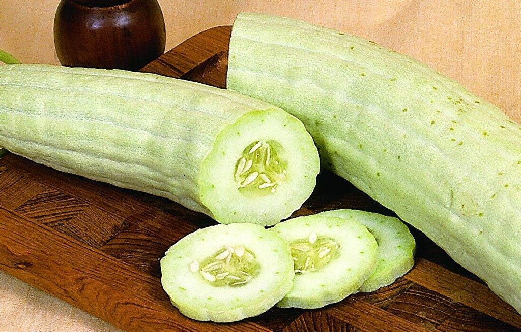 Armenian Yard-Long Cucumber 30 - 1 LB Seeds Snake Melon Burpless Heirloom Bulk